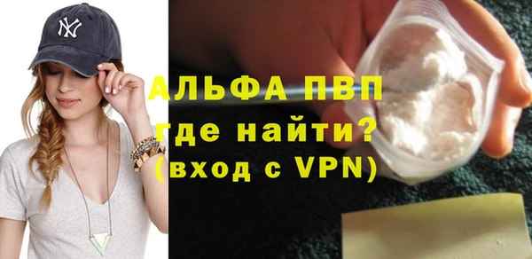 хмурый Верея