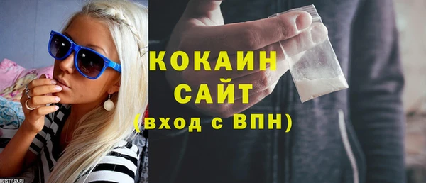 хмурый Верея