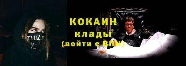 хмурый Верея