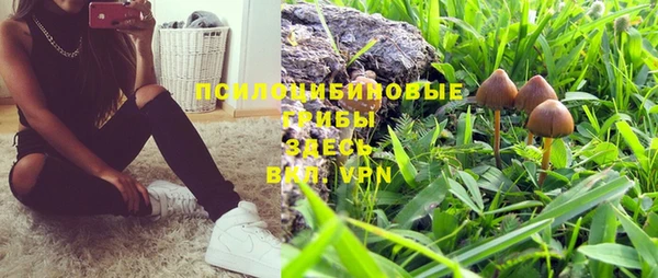 МДПВ Верхний Тагил