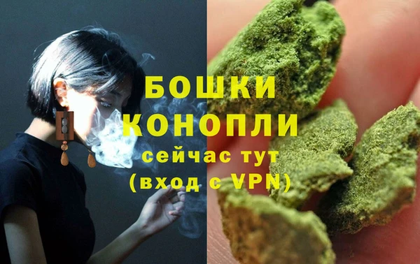 МДПВ Верхний Тагил