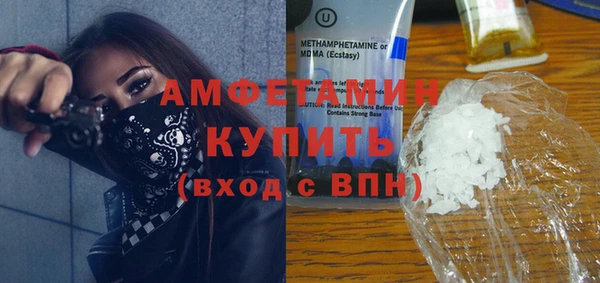 хмурый Верея