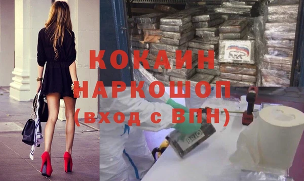 хмурый Верея
