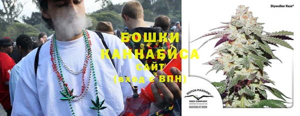 хмурый Верея