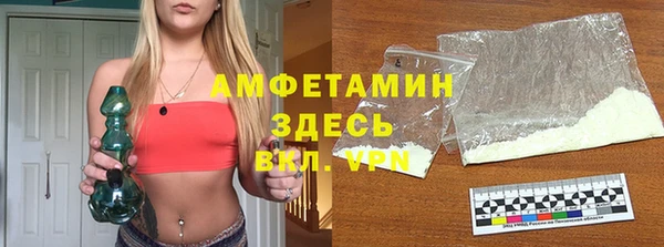 хмурый Верея